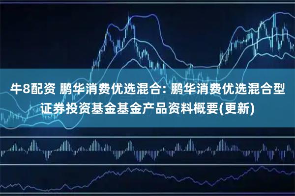 牛8配资 鹏华消费优选混合: 鹏华消费优选混合型证券投资基金基金产品资料概要(更新)