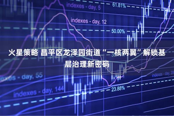 火星策略 昌平区龙泽园街道“一核两翼”解锁基层治理新密码