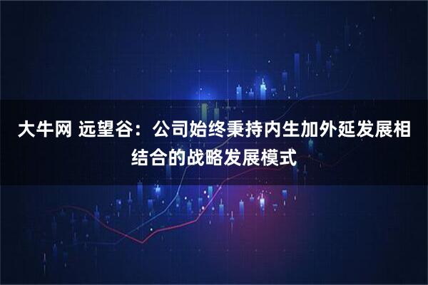 大牛网 远望谷：公司始终秉持内生加外延发展相结合的战略发展模式